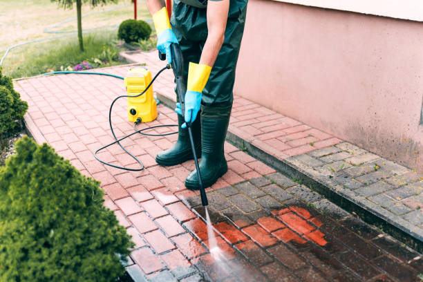 Pre-Holiday Cleaning in Arroyo Grande, CA